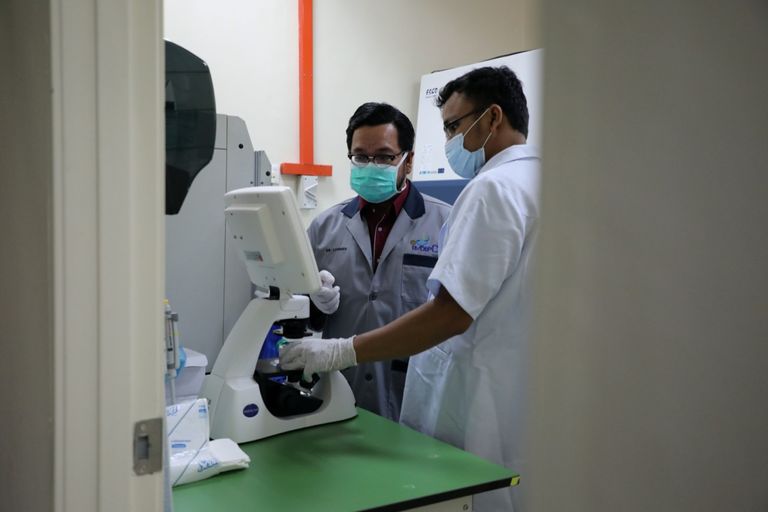 وحيد القرن السومطري