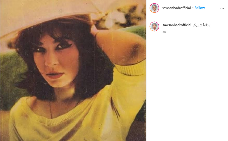 الفنانة المصرية شويكار