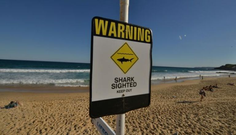لافتة تحذر من أسماك القرش على أحد شواطئ استراليا