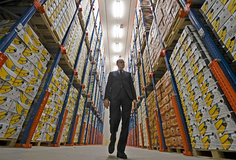 مزرعة بوسط صحراء دبي للنباتات الورقية