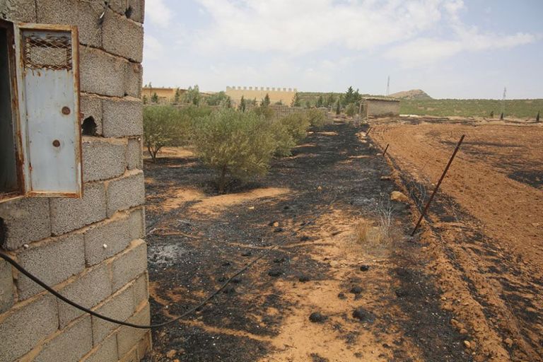 جانب من الخسائر التي خلفها الحريق على مرزعة الكاتب الجزائري محمد جربوعة جانب من الخسائر التي خلفها الحريق على مزرعة الكاتب الجزائري محمد جربوعة