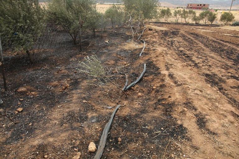 جانب من الخسائر التي خلفها الحريق على مرزعة الكاتب الجزائري محمد جربوعة جانب من الخسائر التي خلفها الحريق على مزرعة الكاتب الجزائري محمد جربوعة