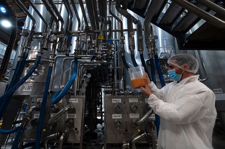 إنتاج حساء "جازباتشو" في أحد المصانع