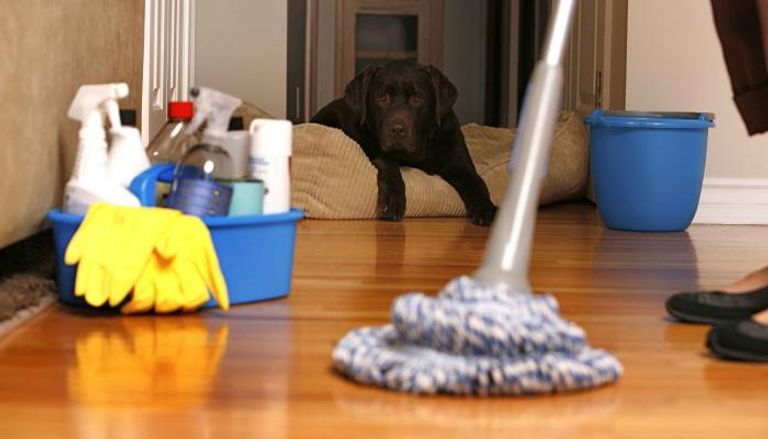 يجب الحرص على تنظيف وتطهير المنزل باستمرار