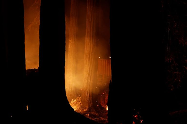 جانب من حرائق الغابات في كاليفورنيا