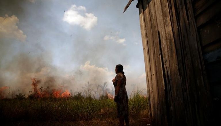 استمرار الحرائق في غابات الأمازون المطيرة بالبرازيل - رويترز 