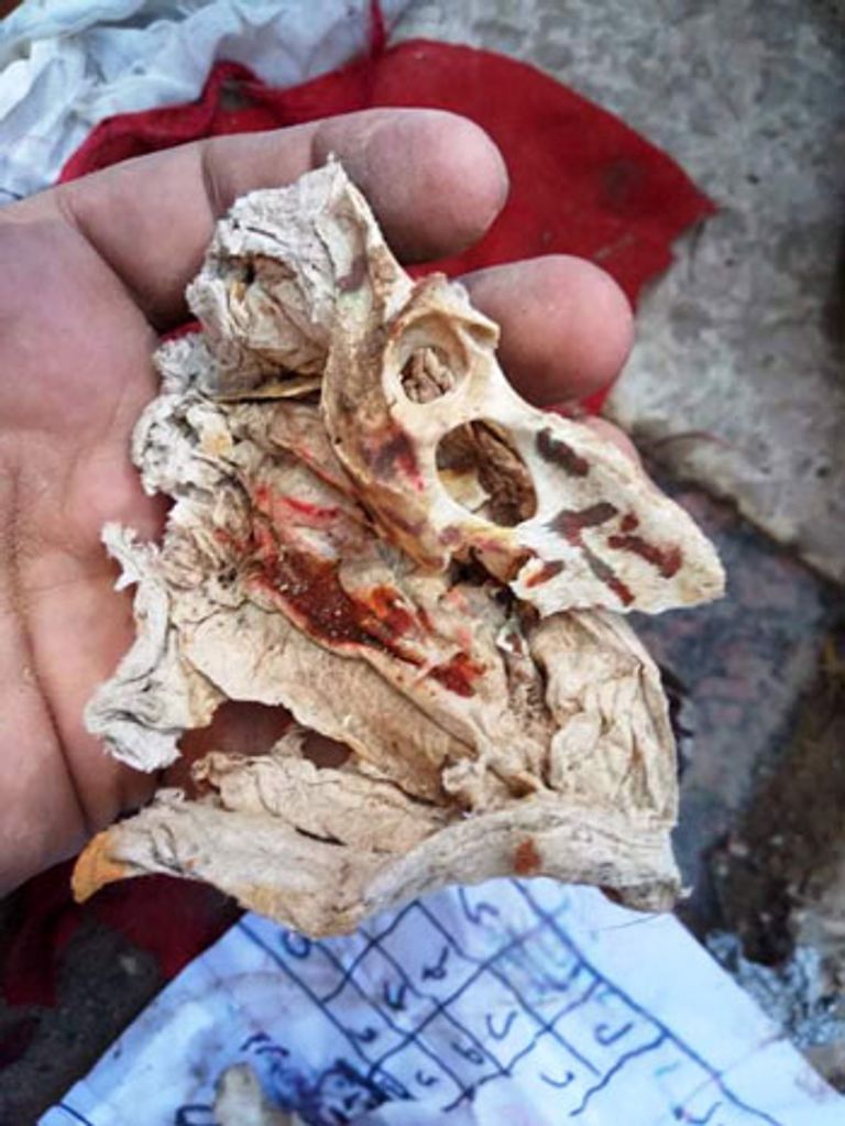 جانب من أعمال السحر التي عثر عليها بالمقابر في مصر