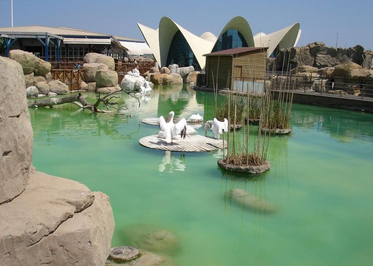 حديقة الأسماك مشهد لحديقة الأزهر في القاهرة