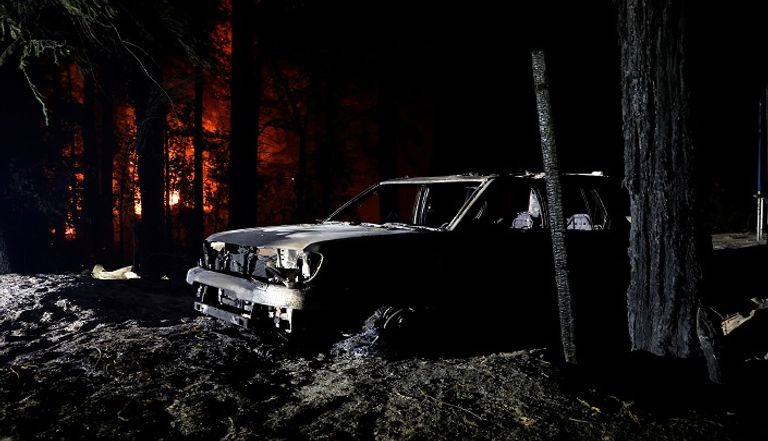 الحرائق تلتهم غابات كاليفورنيا