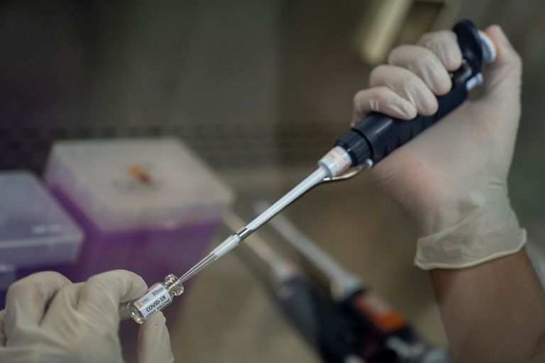 الرئيس ترامب خلال مؤتمر انتخابي