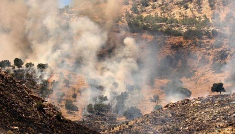 حرائق الغابات في إيران - أرشيفية