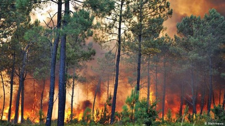حرائق الغابات في إيران - أرشيفية