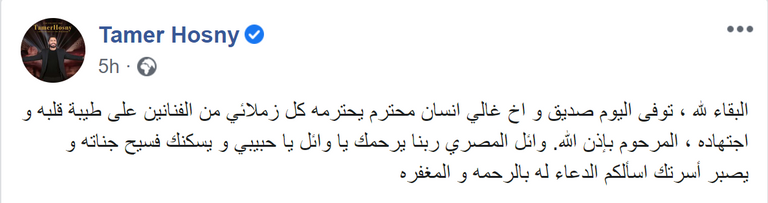 وائل المصري ونيكول سابا