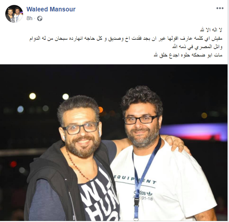 وائل المصري ونيكول سابا