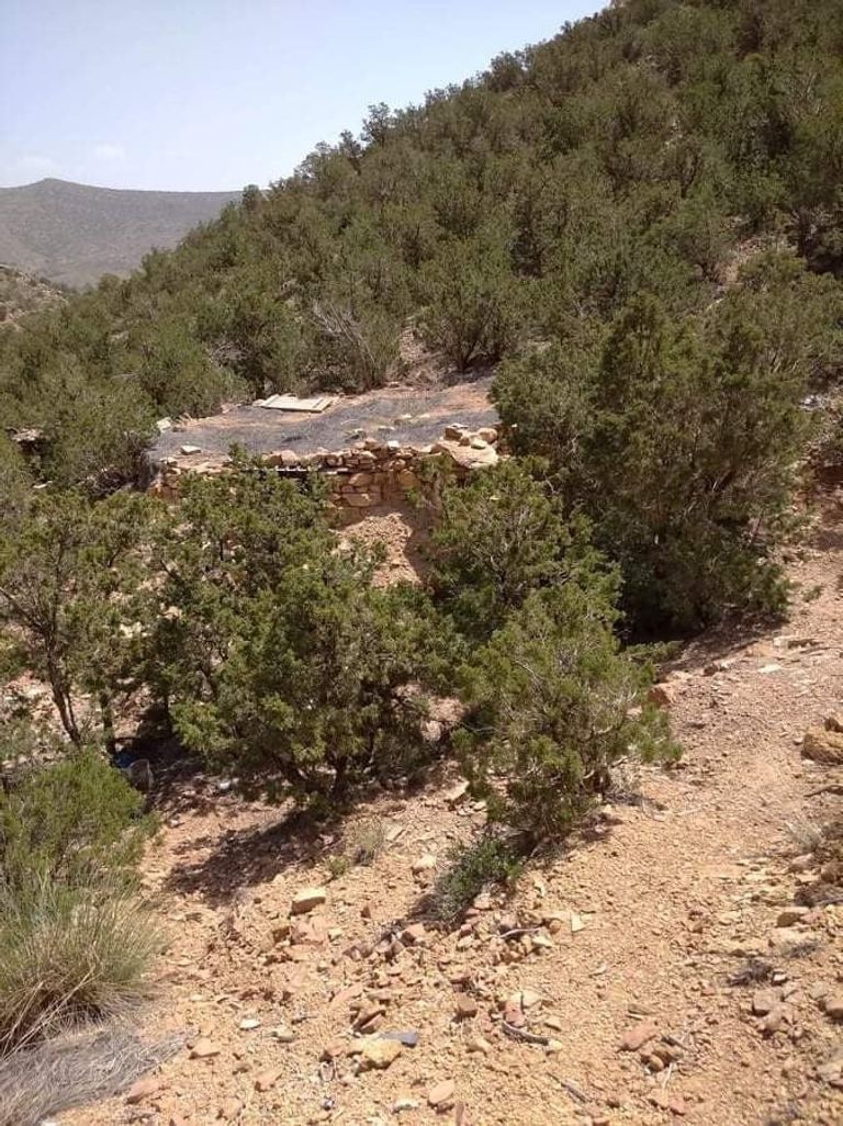 من مخابئ الإرهابيين التي دمرها الجيش الجزائري مخبأ لإرهابيين دمره الجيش الجزائري بالمرتفعات الجبلية لمحافظة باتنة