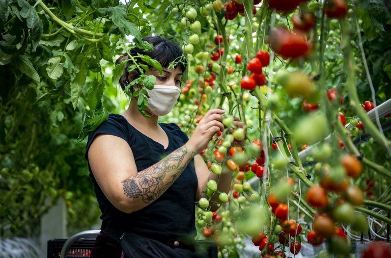 بيت زجاجي تابع لشركة فيرم لوفا في مونتريال