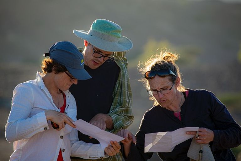 فريق الباحثين