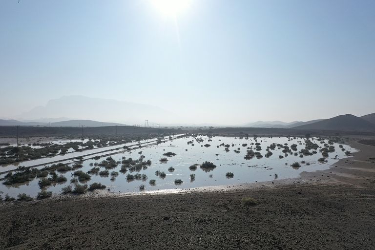 فريق الباحثين