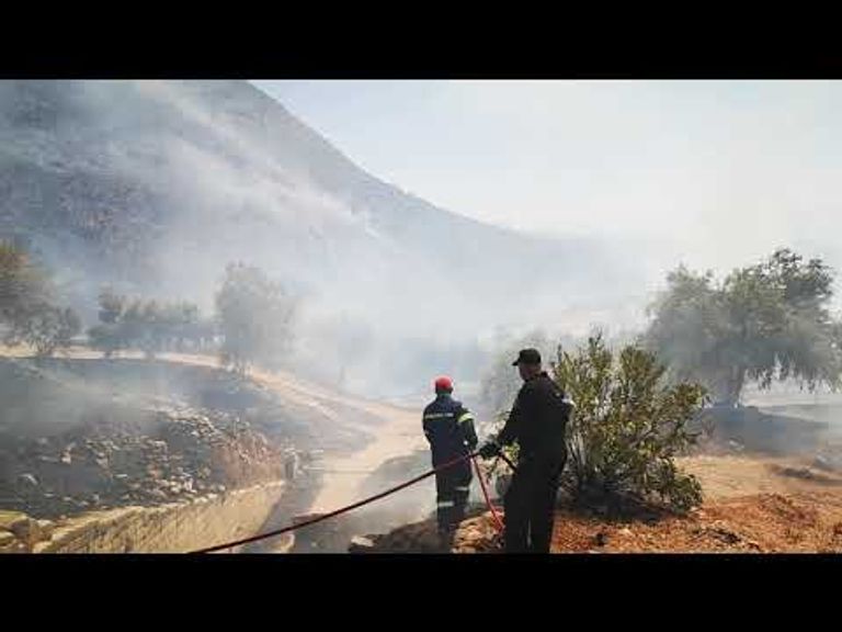 الطائرات ساهمت في إخماد الحريق