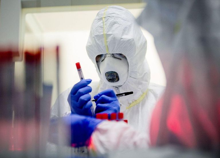 كورونا حول العالم