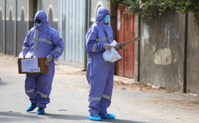 كورونا في غزة