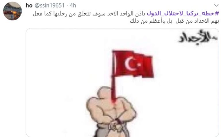 ردود أفعال المغردين العرب على مخططات تركيا لاحتلال الدول