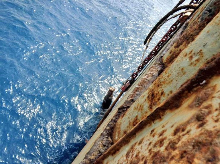 ناقلة النفط "صافر" العائمة في ميناء رأس عيسى الناقلة صافر - أرشيفية