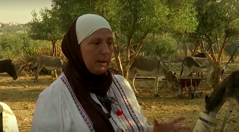 صابون اليوم “صابون حليب الحمير” يستعد لغزو أسواق الأردن .. تعرف على الفوائد المذهلة خاصته