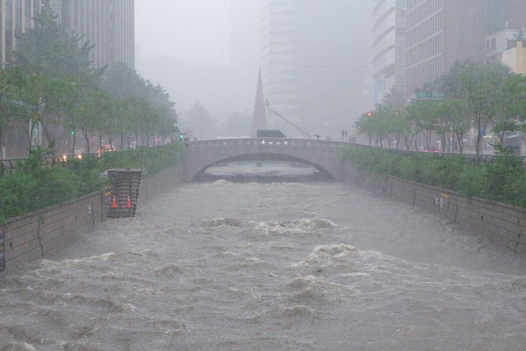 مارة يحتمون بالمظلات من الأمطار الغزيرة في اليابان
