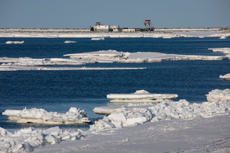 بحر بيرنج في شمال المحيط الهادئ