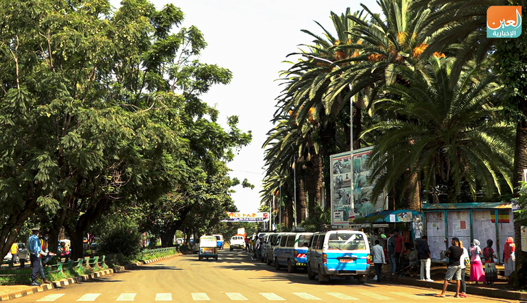 شوارع مدينة "بحر دار" السياحية في إثيوبيا جانب من شوارع بحر دار بنخيلها