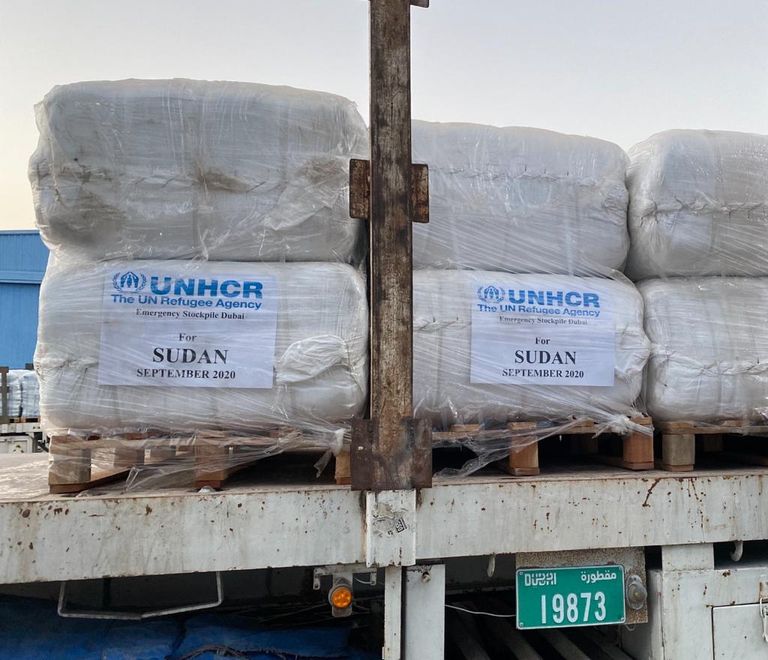 جانب من المساعدات الإماراتية للسودان