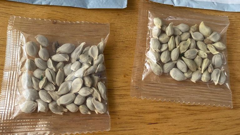 تلقى آلاف الأمريكيين في الأشهر الأخيرة بذورا عبر البريد لم يطلبوها
