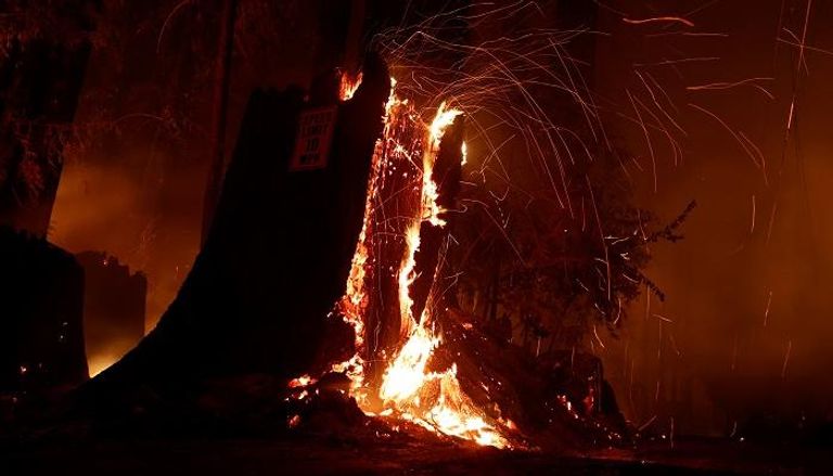 حرائق الغابات في كاليفورنيا 