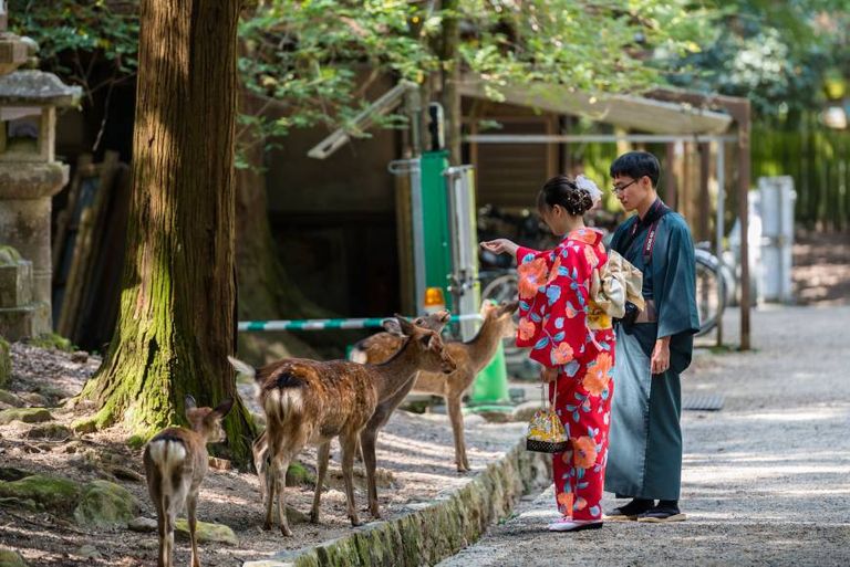 مدينة الغزلان في اليابان