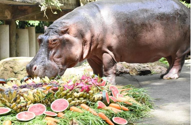 كعكة من الفاكهة والخضراوات