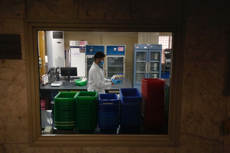 بنك الدم في مصر