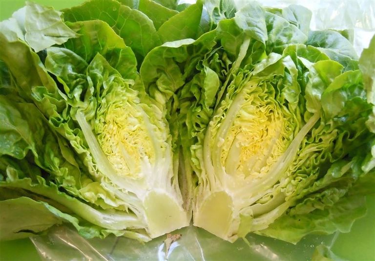 الجريب فروت من المواد المُرّة