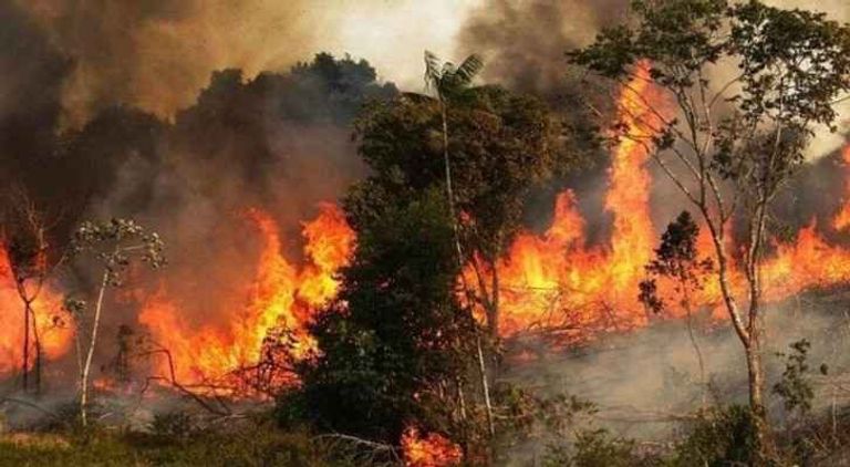 قاني بَكو النائب عن حزب الشعب الجمهوري التركي