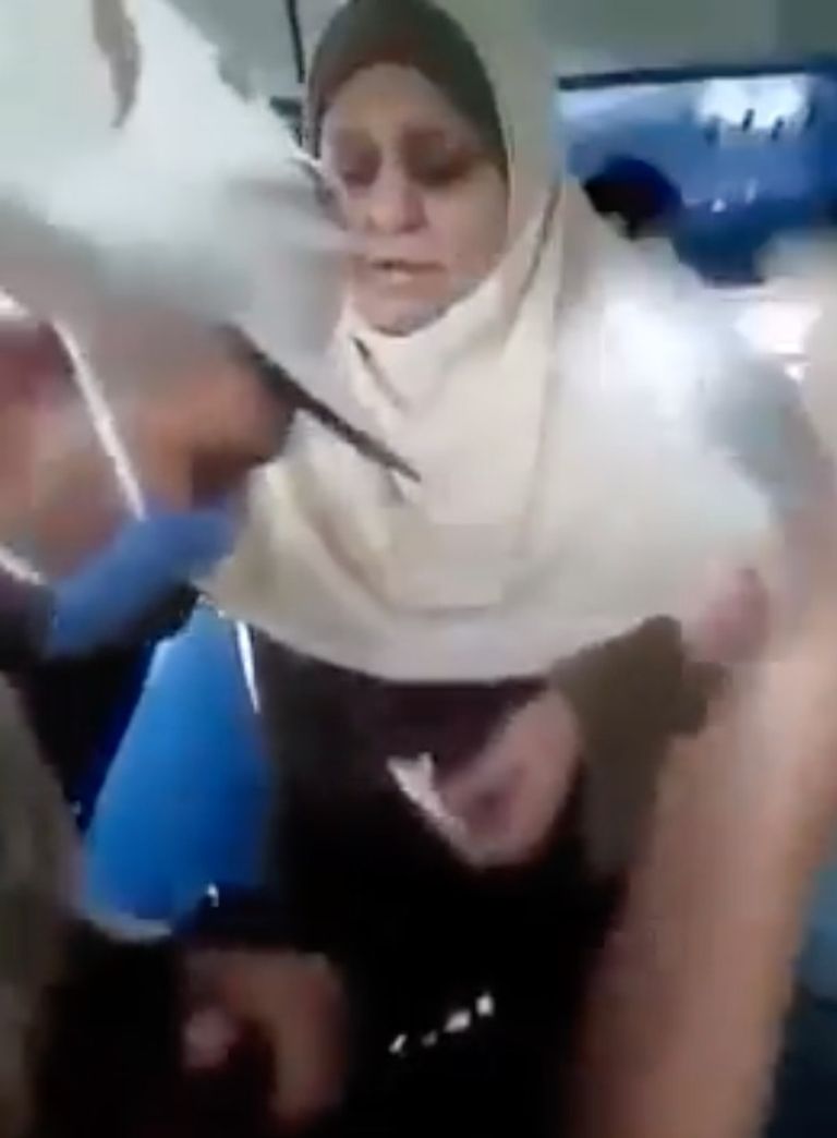 السيدة المصرية صفية أبوالعزم