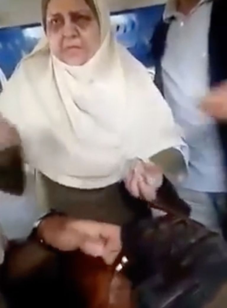 السيدة المصرية صفية أبوالعزم