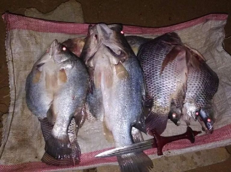 أطفال سوادنيون يصطادون السمك من مياه الفيضان