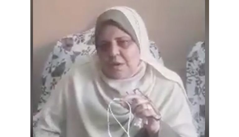 السيدة المصرية صفية أبوالعزم الشهيرة بـ"سيدة القطار" السيدة المصرية صفية أبوالعزم