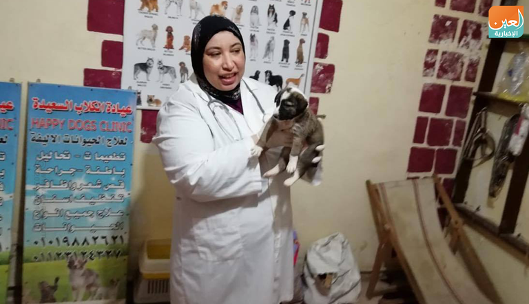 طبيبة مصرية تؤسس دار مسنين للكلاب كبار السن.. ورعاية للمفقودين الصغار