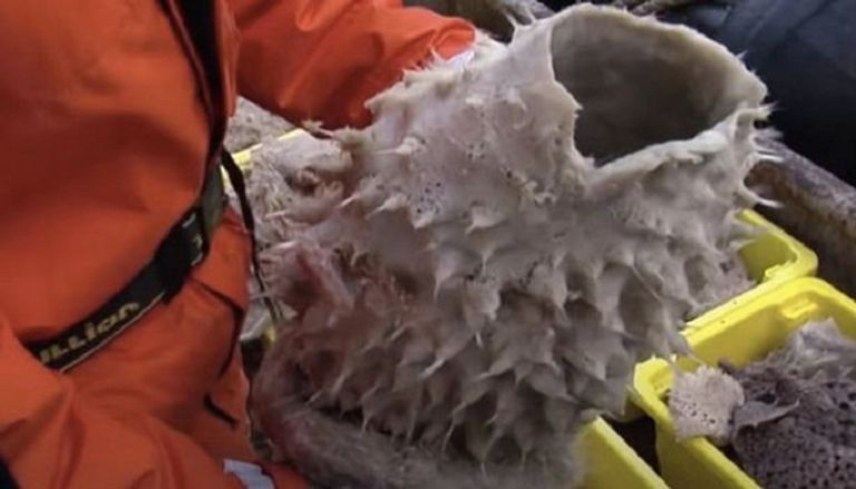 مخلوقات قادمة من الأساطير القديمة