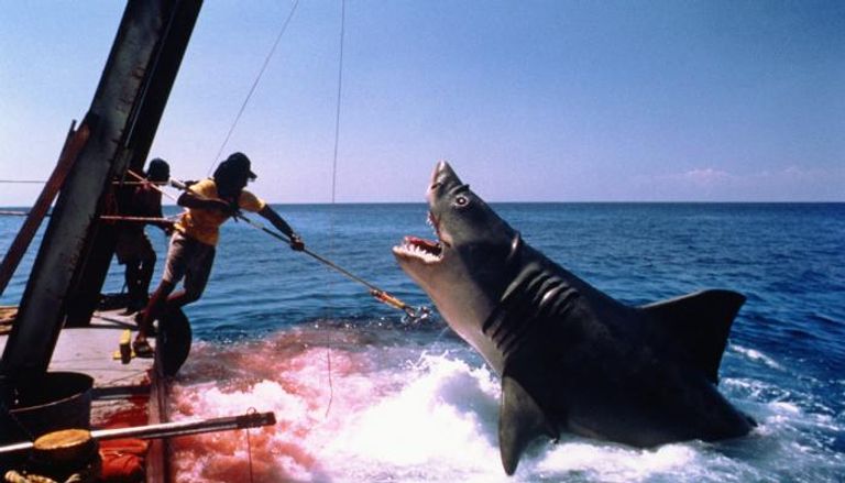 مشهد من فيلم Jaws- الفك المفترس
