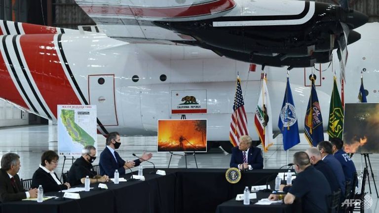 الرئيس الأمريكي دونالد ترامب