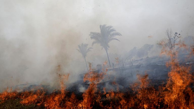 حريق في منطقة بانتانال البرازيلية