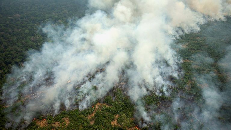 حريق في منطقة بانتانال البرازيلية