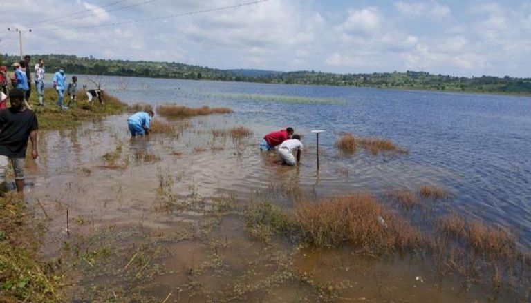 الفيضانات تعيد الحياة لبحيرة هارومايا الإثيوبية